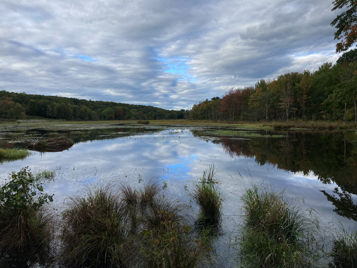 Stacks Image 97